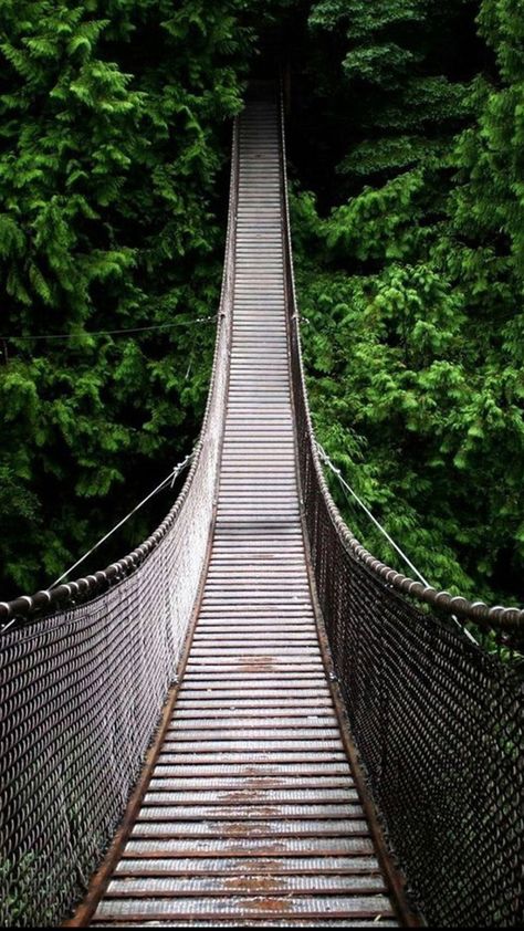 Nature Long Suspension Bridge Over Forest #iPhone #7 #wallpaper Bridge Wallpaper, Rope Bridge, Swinging Bridge, Hd Wallpaper Android, Iphone Pictures, Forest Wallpaper, Suspension Bridge, Cute Photography, Free Hd Wallpapers