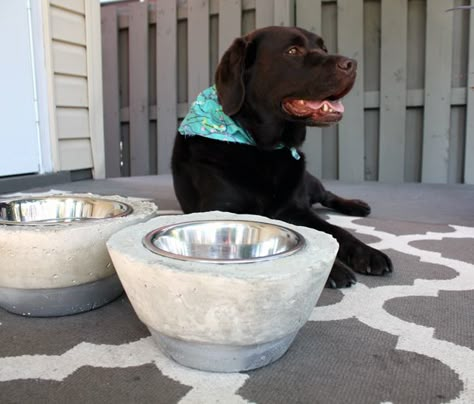 I wanted to make a DIY dog bowl stand, without any power tools, so I came up with these concrete dog bowl holders! Watch the full tutorial. Dog Bowls Diy, Diy Dog Bowl Stand, Diy Dog Bowl, Dog Bowl Holder, Bowl Holders, Dogs Diy Projects, Dog Yard, Bowl Holder, Dog Bowl Stand