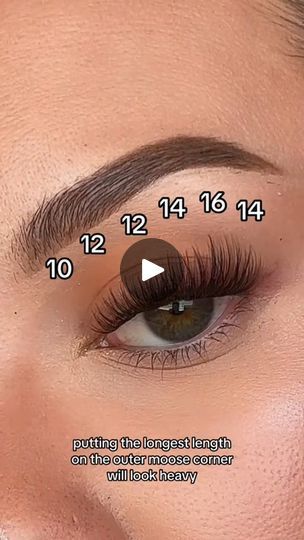 40K views · 591 reactions | Lash Map for Downturned Eyes: 10,12,12,14,16,14. #foryou #lashes #bqlash #makeup #fyp #clusterlashes #grwn #diylashextensions #clusterlashes #bqlashes | B&Q LASH | B&Q LASH · Original audio Lash Extensions Styles Clusters, 12/14/16 Lash Map, Lash Map Downturned Eyes, B&q Lash Map, Lash Map Almond Eyes, Lash Placement, Downturned Eyes, Lash Maps, Cheer Makeup