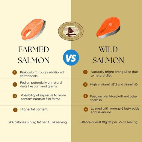 🌍 Celebrating #WorldHealthDay with a splash of knowledge! 🐟 Dive into the debate of wild vs. farmed fish and uncover the healthiest catch for you and the planet. 🌊 Click the link in bio to learn more in our latest blog post: 'Wild-Caught vs Farm Raised Fish: What's the Catch?' 📝 #HealthyChoices #WildVsFarmed #SustainableSeafood #WildAlaskaSeafood #ThePopsieFishCompany #FromFisherToFork #WildCaughtSalmon #FreshFromTheSea #CommercialSalmonFishers #CommercialSalmonFishing Wild Caught Salmon, Sustainable Seafood, World Health Day, Salmon Fishing, The Catch, Healthy Choices, Click The Link, Diving, To Learn