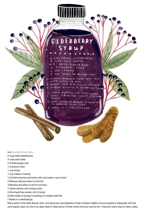 Home Apothecary Recipes, Tinture Recipes, Madison Safer, Dried Elderberry Recipes, Dried Elderberries, Kitchen Witches, Odd Facts, Dried Ginger, Kitchen Witch Recipes