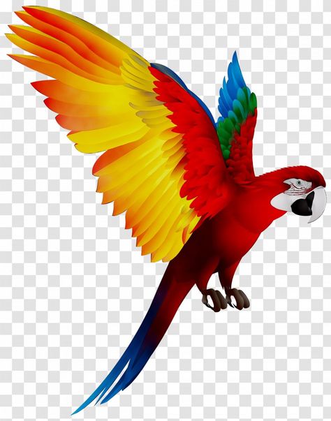 Parrot Png, Cute Halloween Coloring Pages, Mario And Princess Peach, Parakeet Bird, Animal Makeup, Snapchat Streaks, Scarlet Macaw, Parrot Pet, Cool Pictures For Wallpaper