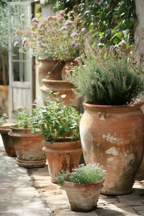 You can never have enough terracotta pots Terracotta Pots With Flowers, Spanish Garden Ideas, Terra Cotta Pots Garden, Garden Planter Ideas, Court Yard, Rustic Pots, Spanish Garden, Courtyard Gardens Design, Potted Plants Outdoor