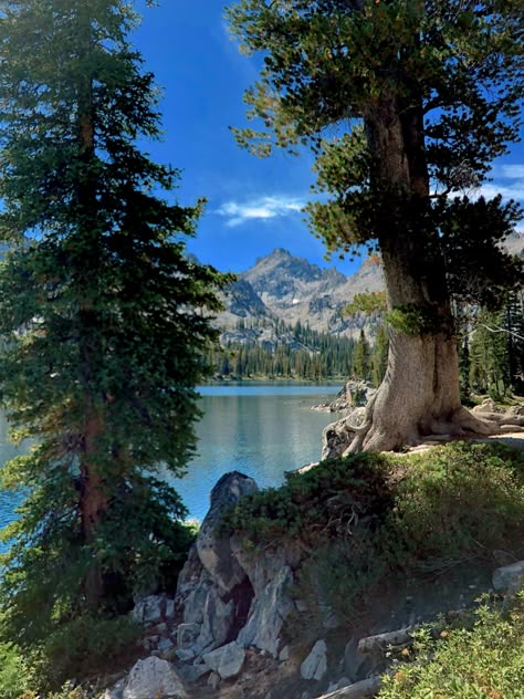 Lakes And Mountains, Idaho Forest, Sawtooth National Forest, Lake And Forest, Idaho Nature, Sawtooth Mountains Idaho, Sawtooth Wilderness Idaho, Suttle Lake Oregon, To Alice