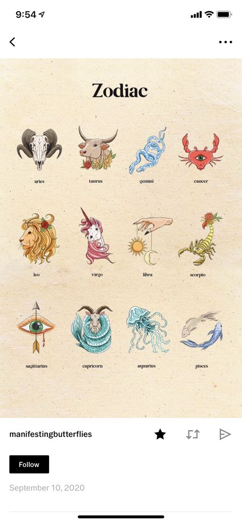 Aquarius Animal Tattoo, Aquarius Spirit Animal, January Zodiac Sign, Spirit Animal Tattoo, Birth Animal, Zodiac Signs Animals, Coy Fish, Aquarius Tattoo, Capricorn Tattoo