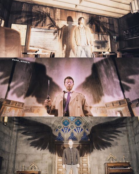 Castiel Wings, Moose And Squirrel, Supernatural Background, Castiel Angel, Supernatural Angels, Castiel Supernatural, Supernatural Wallpaper, Winchester Supernatural, Winchester Boys