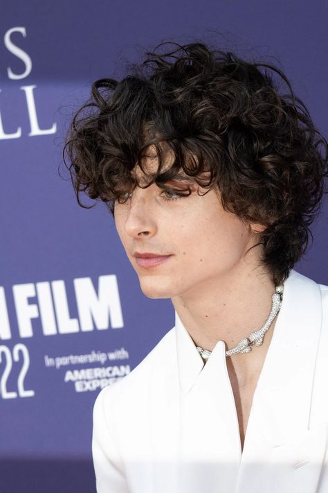 Short Curly Hair Guys, Short Curly Hair Man, Men’s Haircuts For Curly Hair, Guys With Long Hair Curly, Timothee Chalamet Short Hair, Timothee Chalamet Haircut, Masculine Curly Hairstyles, Curly Hair Teen Boy, Thick Curly Hair Men