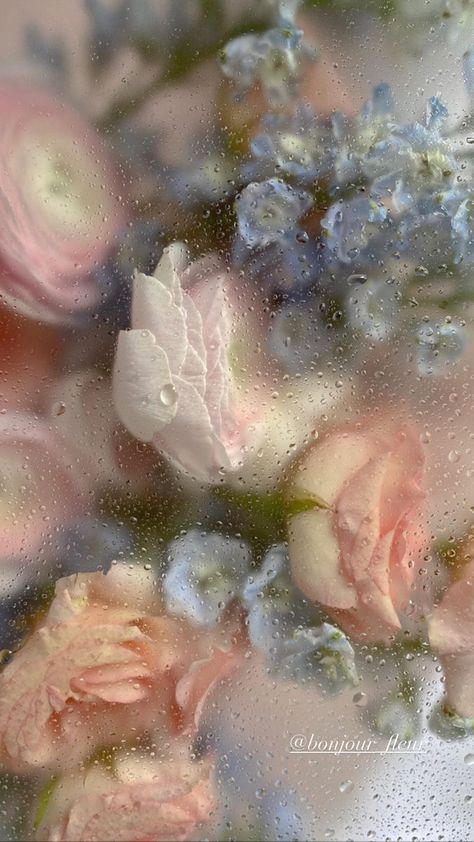 Rainy Wallpaper, Rainy Window, Dark Florals, Background Photos, Pretty Phone Wallpaper, Paint Strokes, Hiccup, Flower Phone Wallpaper, Toothless