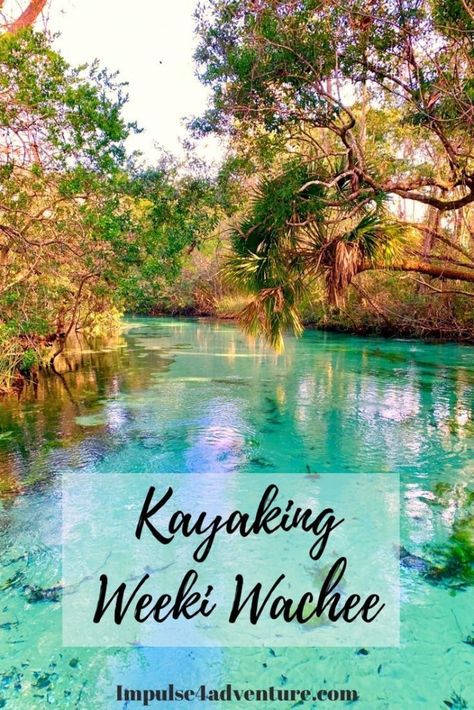 Weeki Wachee Springs Kayaking, Weeki Wachee Florida, Florida Vacation Spots, Travel Venice, Barbados Vacation, Weeki Wachee, Dream Vacation Spots, Florida Adventures, Florida Springs