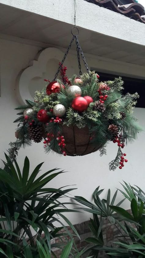 Winter Hanging Baskets, Hanging Basket Ideas, Christmas Hanging Baskets, Christmas Pots, Christmas Flower Arrangements, Christmas Planters, Christmas Baskets, Christmas Hanging, Christmas Arrangements