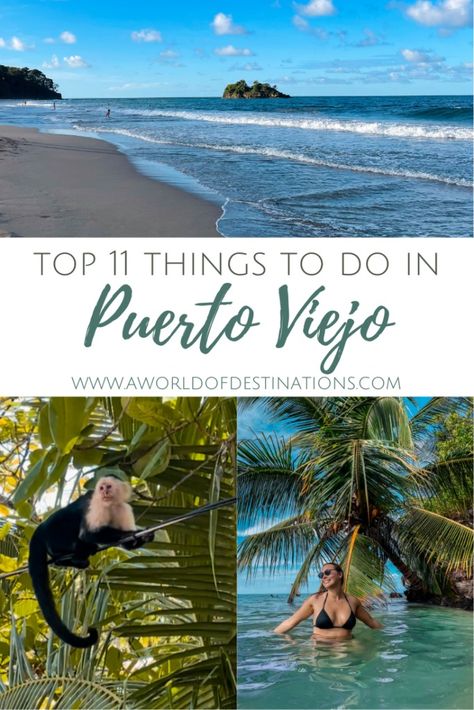 Top 11 things to do in Puerto Viejo, Costa Rica Puerto Viejo Costa Rica, Cahuita, Monteverde, Vacation Inspiration, Central America Travel, Cruise Destinations, Costa Rica Travel, Travel South, Caribbean Cruise