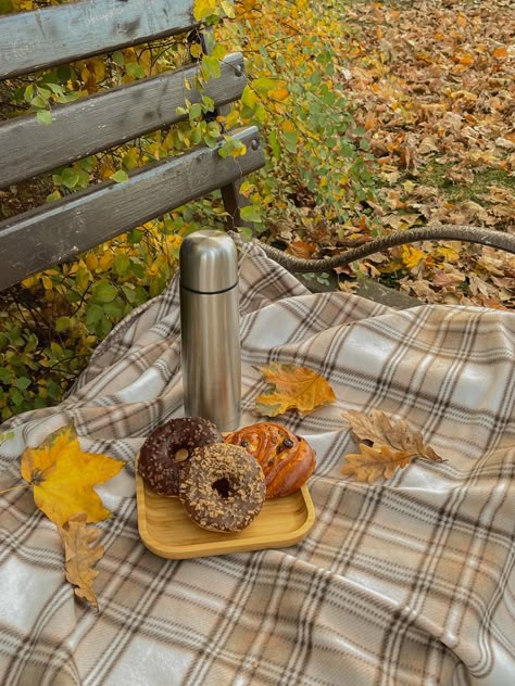 Crisp Air Aesthetic, Hygge Autumn, Autumn Story, Fall Picnic, Fall Mood Board, New England Fall, Autumn Magic, Pumpkin Spice Season, Fall Inspo