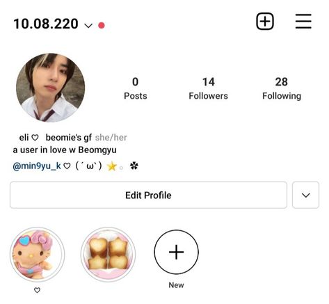 Svt Instagram Bio Ideas, Txt Bio Ideas, Layout Instagram Feed, Ig Tags, Bio Ig, Insta Layout, Apink Naeun, Profile Ideas, Ig Bio