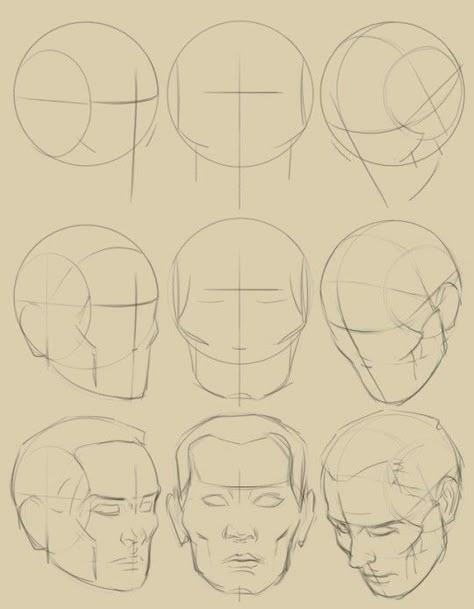 얼굴 드로잉, Drawing Tutorial Face, 얼굴 그리기, Drawing Heads, Human Anatomy Art, Anatomy Sketches, Drawing Studies, Face Sketch, Anatomy Drawing