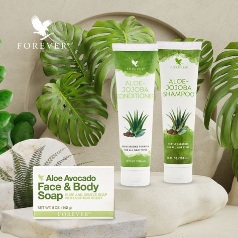 Start looking forward to your daily routine with every day aloe essentials like Aloe Avocado Face & Body Soap and Aloe Jojoba shampoo and conditioner! #flp #showeressentials #everydaymusts #forever #living #products #shampoo #conditioner Forever Aloe Lips, Jojoba Shampoo, Good Sunscreen For Face, Aloe Vera Gelly, Aloe Lips, Sugar Defender, Forever Living Aloe Vera, Superhero Workout, Best Facial Cleanser