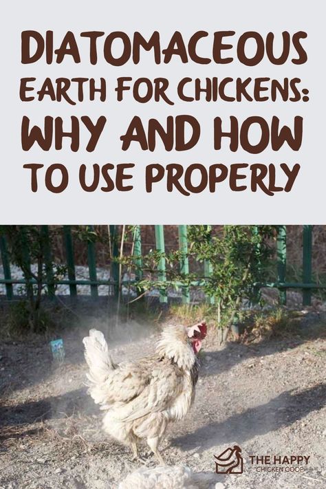 Diatomaceous Earth For Chickens, Diatomaceous Earth Uses, Dust Bath For Chickens, Herbs For Chickens, Chicken Raising, Chicken Barn, Chicken Care, Chicken Pen, Chicken Coup