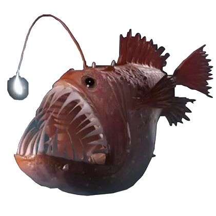 Deep Sea Creature, Fish Png, Angler Fish, Sea Creature, Deep Sea, Fish, Google Search