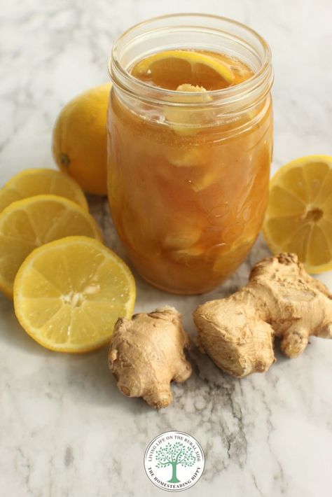 Lemon-Ginger Infused Honey by Heather Harris 20 Comments This lemon ginger infused honey is wonderful for adding to teas, or other warming drinks. The lemon and honey are soothing on the throat, while the honey and ginger help to quiet coughs. I love making infused honey. It takes on the flavor of whatever herbs or spices you add to it, and maintains a sweetness that we all know and love. Using infused honeys can take your baking, cooking, and tea making to an entirely new and exciting level! Ginger Lemon Honey Tea, Herb Infused Honey, Lemon And Honey, Infused Honey, Natural Beauty Remedies, Ginger Syrup, Lemon Ginger, Honey Tea, Ginger Recipes