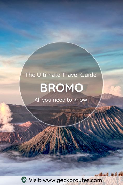 Visiting Mount Bromo in Indonesia is an experience that you’ll never forget, but it’s not the easiest to organise. There are several basecamps to leave from and so many tour companies, it’s hard to know what the right choice is. We’ve visited Mount Bromo ourselves and researched to save you time. Check out our guide to find out everything you need to know to visit Mount Bromo in Indonesia and decide which way is best for you! Mt Bromo, Mount Bromo, Early In The Morning, Base Camp, Malang, The Village, Scuba Diving, Save You, Never Forget