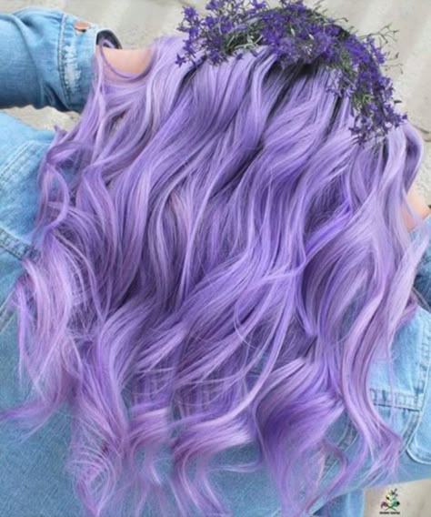 Wicked Hairstyles, Haircolor Ideas, Soft Grunge Hair, Light Purple Hair, Anting Manik, Hair Dyed, Violet Hair, Hair Specialist, Coloured Hair