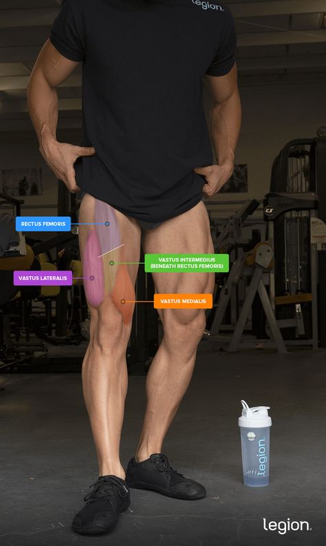 The 12 Best Quad-Focused Exercises for Bigger Quads | Legion Quad Focused Squat, Bodyweight Quad Exercises, Quad Focused Leg Day Workout, Leg Workout Quad Focused, Quad Muscles Women, Quad Muscles Anatomy, Front Quad Exercises, How To Get Defined Quads, Quad Muscle Exercises