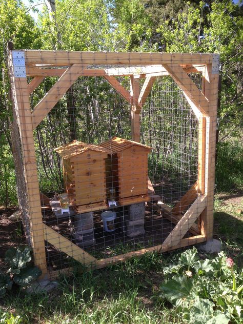 Show a pic of your setup - Beekeeping - Basics - Flow Forum Bee Hive Setup, Building A Beehive, Best Flowers For Bees, Backyard Bees, Honey Bee Farming, Hive Stand, Backyard Bee, Backyard Beekeeping, Homestead Farm