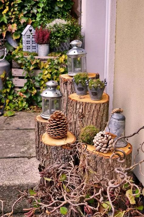 Tree Stump Decor, Tree Stump Planter, Tree Stumps, Garden Types, Garden Deco, Have Inspiration, Tree Trunks, Tree Stump, Deco Floral