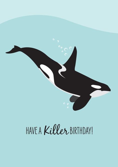 Orca Themed Birthday Party, Ocean Birthday Card, Marine Birthday, Marines Funny, Recycled Envelopes, Whale Birthday, Beautiful Birthday Cards, Marine Conservation, Shark Birthday