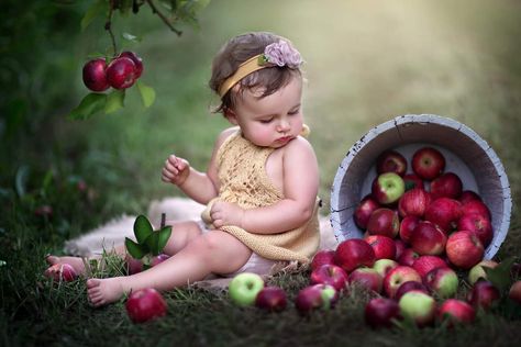 Baby Apple Photoshoot, Pie Photoshoot, 1st Year Photoshoot, Apple Orchard Photoshoot, Orchard Pictures, Apple Orchard Pictures, Orchard Photoshoot, 6 Month Photo Ideas, Season Photography