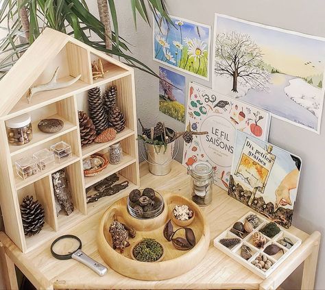 Nature Shelf, Nature Based Classroom, Reggio Emilia Classroom, Reggio Inspired Classrooms, Eyfs Classroom, Reggio Classroom, City Parks, Nursery Activities, Shapes Preschool