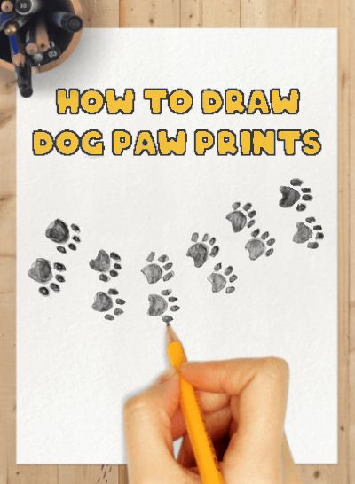 Drawing Paw Prints, Dog Journaling Ideas, How To Paint Paw Prints, How To Draw Paw Prints Dogs, How To Draw Paw Prints, Dog Paw Drawing Easy, How To Draw Dog Paws, How To Draw A Paw Print, Dog Paw Print Drawing