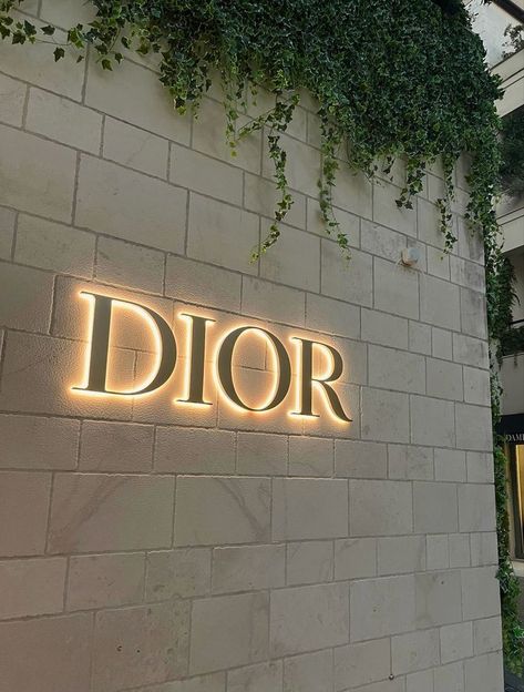 Shop Name Board Design Ideas, Shop Name Board Design, Dior Sign, Beach Signage, Dior Photography, Futuristic Nails, Name Board Design, Backlit Signage, Shop Front Signs