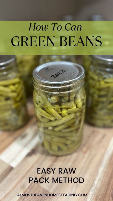 Learn how to can beans at home using this easy yet effective raw pack method. This process only takes about 30 minutes of hands on time making it a perfect option for preserving your excess green beans from yolur garden! Preserve Green Beans, Preserving Green Beans, Canning Green Beans, Home Canning Recipes, Canning Vegetables, Can Green Beans, Canned Beans, Home Canning, Green Bean Recipes