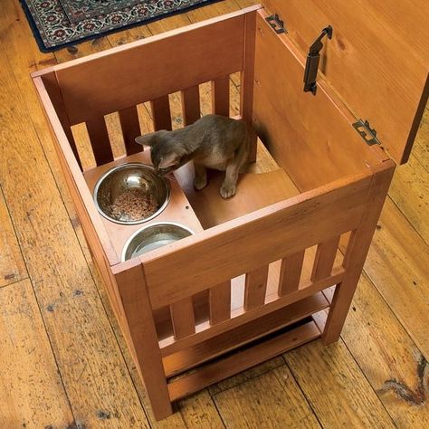 Catnip Alley Studio Blog: Dog-Proof Cat Feeding Station Diy Cat Feeding Station, Cat Food Station, Cat Feeding Station, Food Dog, Rat Terrier, Game Mode, Cat Feeder, Feeding Station, Cat Climbing