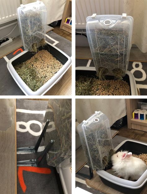 Hay Feeder For Rabbits, Diy Hay Feeder, Diy Bunny Cage, Bunny Care Tips, Diy Rabbit Cage, Diy Guinea Pig Cage, Rabbit Hay Feeder, Funny Bunny Videos, Pet Rabbit Care