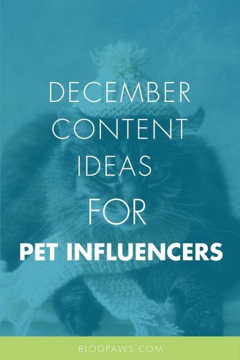 December Content Ideas, Blog Post Idea, Dog Fundraiser, Pet Branding, Blog Post Topics, Dog Business, Pet Blog, Social Media Marketing Plan, Pet Businesses