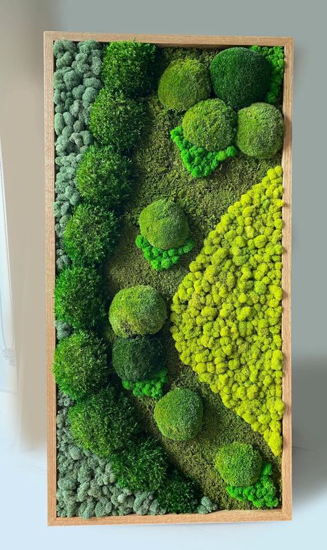 Our one-of-a-kind indoor moss wall art embodies serenity, natural appeal, and elegance. Using naturally preserved Reindeer Moss, Fern Moss, and Bun Moss, we create sustainable, maintenance-free, long-lasting moss art pieces. Each piece we create is perfectly unique and created to fulfill your needs for tranquility, serenity, and love for nature. 🌱 We can customize this design to suit your preference. Please email me at rachel@gardenersemporium.co.nz for a quote. Labyrinth Design, Moss Decor, Living Wall Art, Succulent Wall Art, Plant Wall Decor, Moss Wall Art, Wall Art Ideas, Custom Wall Decor, Moss Art