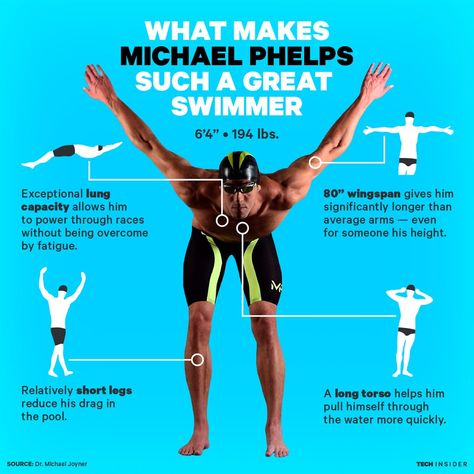 Michael Phelps Body, Michael Phelps Swimming, Swimming Race, Swimming Body, Swimming Drills, Swim Technique, Swimming Posters, Swimming Memes, Swimmers Life