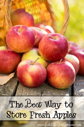 Preserve Apples, How To Store Apples, How To Make Applesauce, Picking Apples, Homesteading Ideas, Apple Season, Frugal Family, Filling Food, Fresh Apples