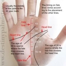 Life Line On Hand, Palm Reading Charts, Hand Reading, Foot Detox Soak, Palmistry Reading, Changes In Life, Palmistry Hand, Talk To The Hand, Palm Reader