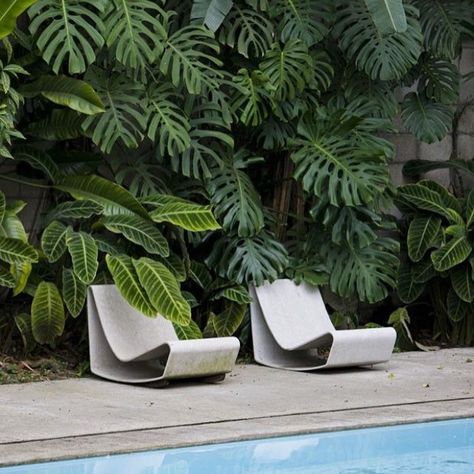 Poolside- A natural growing vertical garden including Monstera, heliconias and ctenanthe creates a tropical backdrop to this pool area. Great planting solution for a semi shaded position. Image via casavogue.globo.com #thesmallgarden #verticalwall #vertical garden #pool #landscape #landscapedesign #smallspace #smallspace Pool Plants, Pool Landscape Design, Small Backyard Gardens, Backyard Pool Landscaping, Pallet Garden, Fence Landscaping, Garden Pool, Pool Landscaping, Tropical Garden