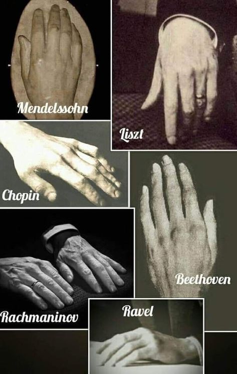 Pianist Hands Aesthetic, Piano Sheet Music Classical, Classical Music Composers, Famous Composers, Istoria Artei, Classical Musicians, Queen Band, Music Composers, Music Aesthetic