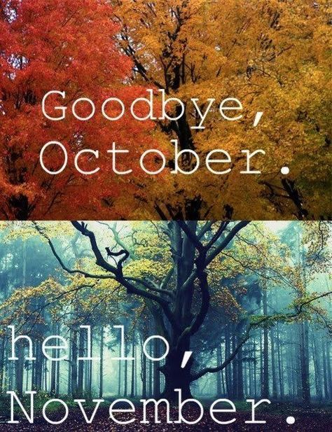 Goodbye October, Hello November october november hello november goodbye october goodbye october hello november bye october goodbye october images Hallo November, Goodbye October, November Pictures, November Images, Neuer Monat, Welcome November, November Quotes, November Wallpaper, Entertaining House