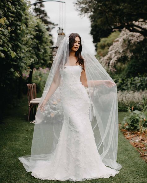 Gigi Wedding Dresses Australia, Gigi Dress, Suzanne Neville, Full Gown, Bridal Events, From Miss To Mrs, Colorful Bouquet, Knot Dress, Dress Makeup