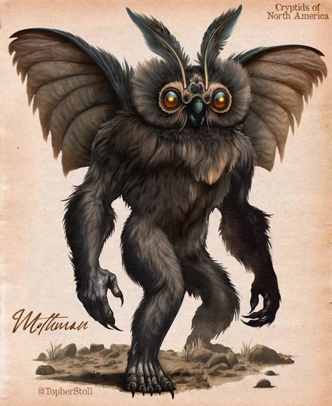 Mothman Drawing, Mothman Aesthetic, Moth People, American Cryptids, Mothman Art, Indrid Cold, Cryptid Art, Moth Man, Humanoid Creatures