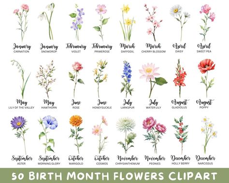 Flower For Birth Month, Month Flowers Birthday, Birth Month Flower Chart, Birthday Flowers By Month, Birth Flowers By Month, Hey Sunshine, Birthday Month Flowers, Flower Graphics, Floral Png