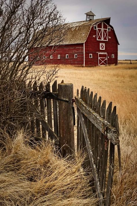 Day Before Christmas, Farm Pictures, Barn Pictures, Country Barns, Barn Painting, Barn Art, Country Church, Old Farm Houses, Autumn Scenery