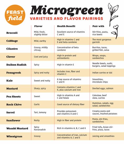 Microgreens Nutrition Chart, Microgreens Business Plan, Micro Green Recipes, Growing Microgreens Indoors, Microgreens Recipe Ideas, Microgreens Growing Indoor, Microgreen Business, Microgreen Salad, Microgreens Salad