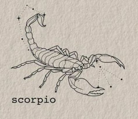 Scorpio Sketch, Art Work Ideas, Scorpio Tattoo, Bla Bla Bla, Scorpion, Art Work, Art Ideas, Tattoo Ideas, Sketch