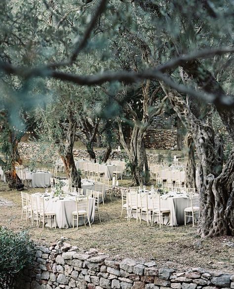 Olive Grove Wedding, Aman Sveti Stefan, Montenegro Wedding, Olive Green Weddings, Mediterranean Wedding, Olive Grove, Ethereal Wedding, Wedding Event Design, Luxury Destinations